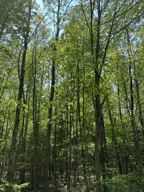 ON Other #8439-D, , WI 54456