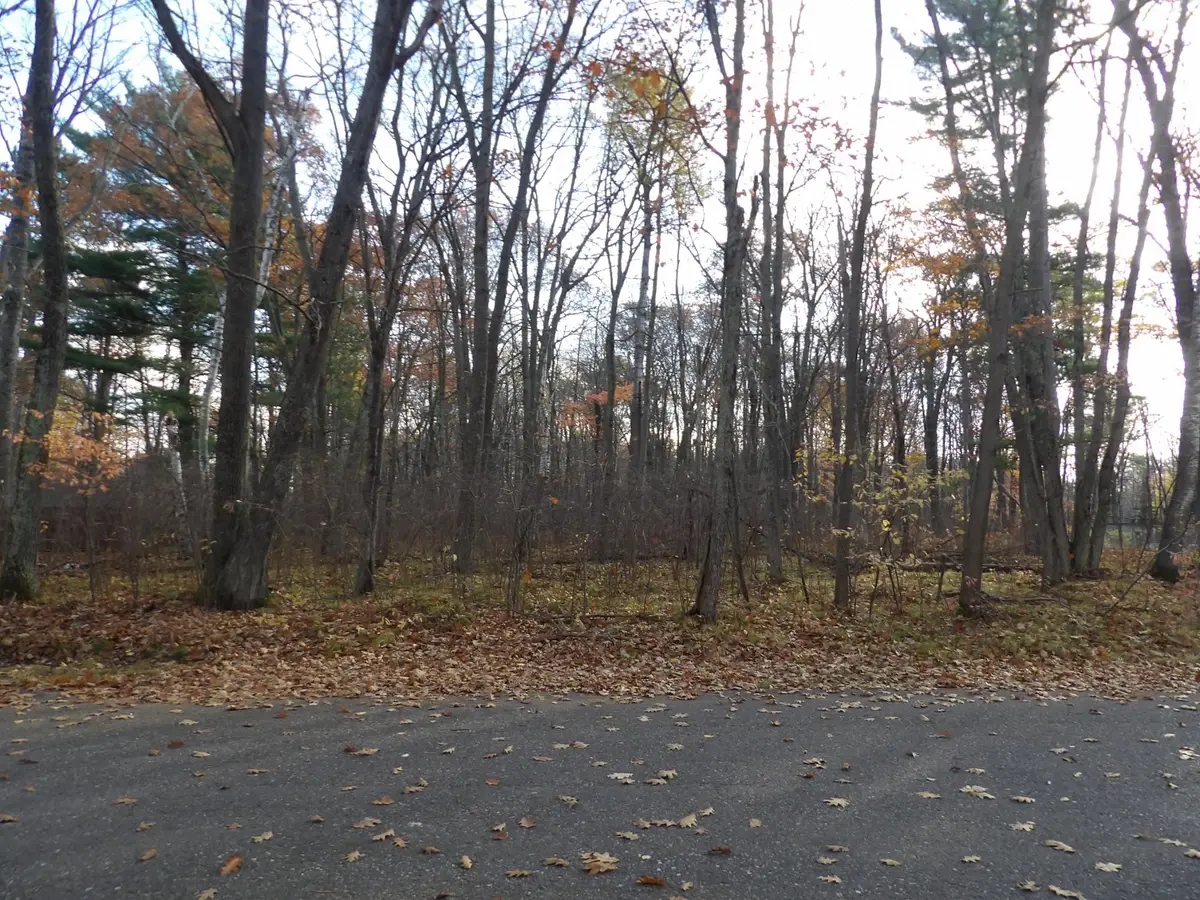 Lot 24 Marie Ln, Minocqua, WI 54548 - #1