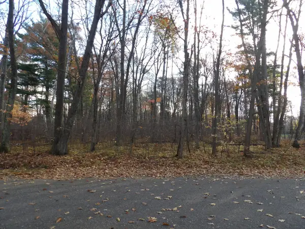 Lot 24 Marie Ln, Minocqua, WI 54548