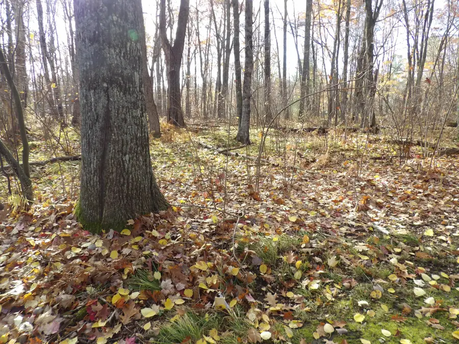 Lot 24 Marie Ln, Minocqua, WI 54548 - #2