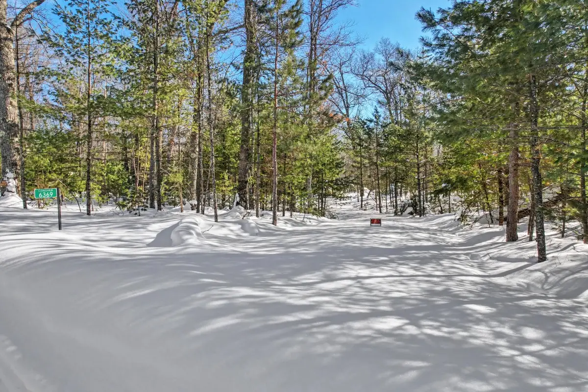 6369 Porcupine Ridge Ln, Conover, WI 54519 - #1