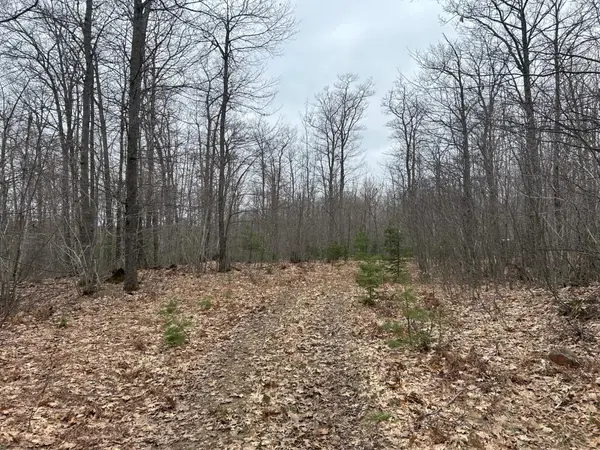 153 Acre Other, Negaunee, MI 49866