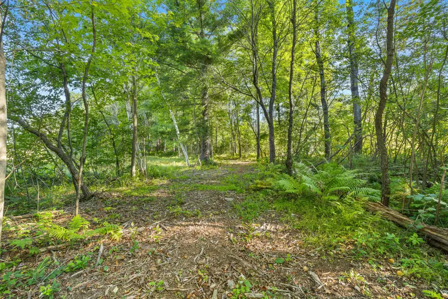 LOT 3 Pine Shore Ln, Tomahawk, WI 54487 - #3