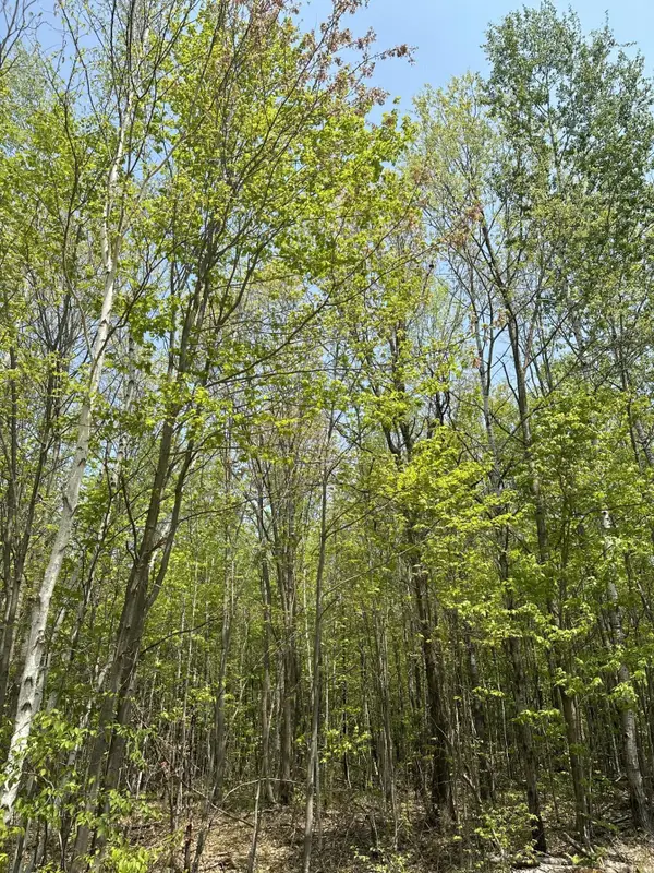 ON Other #8439-B2, , WI 54456