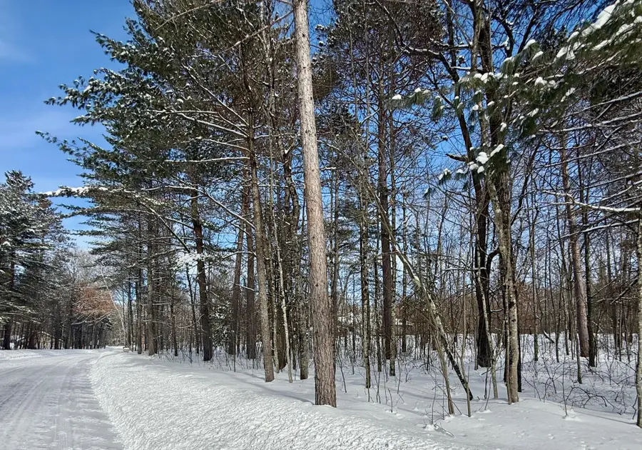 Lot 19 Frontier Cr E, Saint Germain, WI 54558 - #3