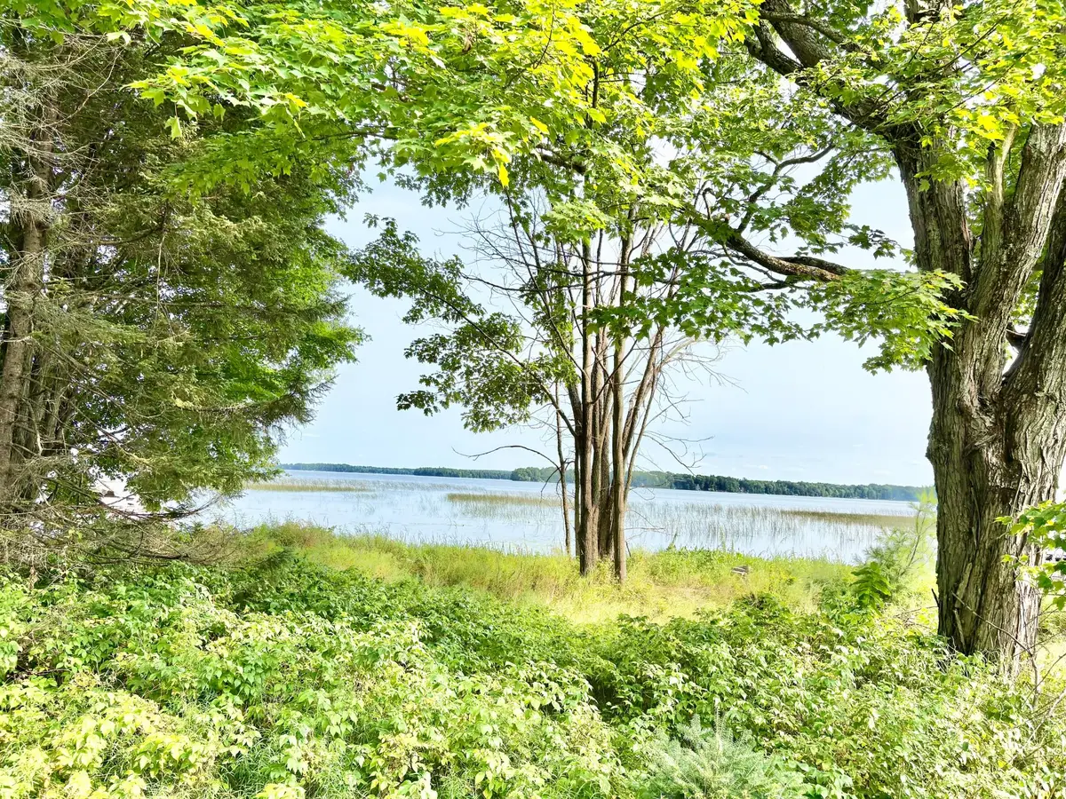 1134 Roberts Rd, Pelican Lake, WI 54463 - #1