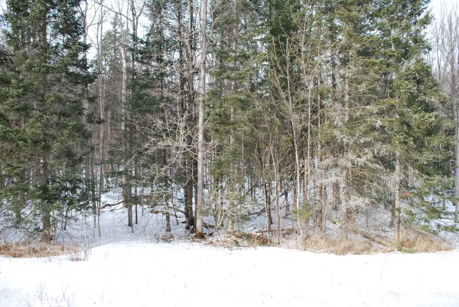 ON Hwy 101, Florence, WI 54121 - #3