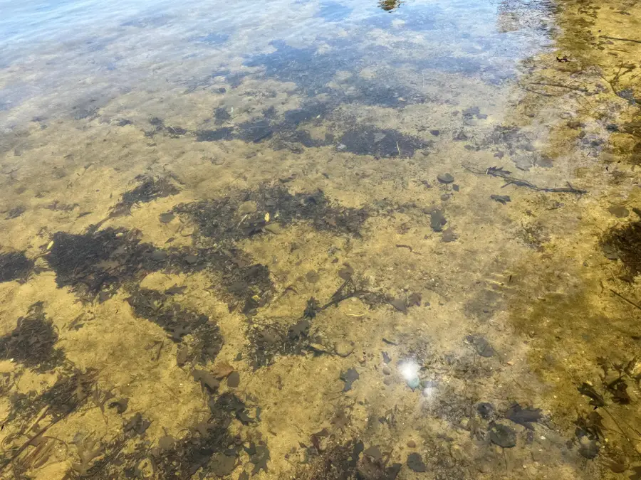 Lot 2 Silver Beach Dr, Lac Du Flambeau, WI 54538 - #3