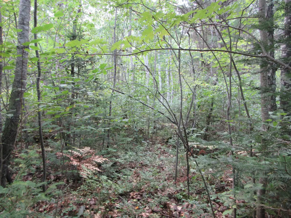 000 Cth M, Crandon, WI 54520 - #1