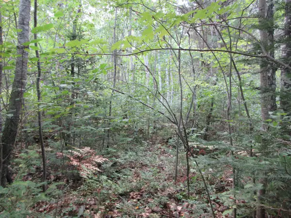 000 Cth M, Crandon, WI 54520