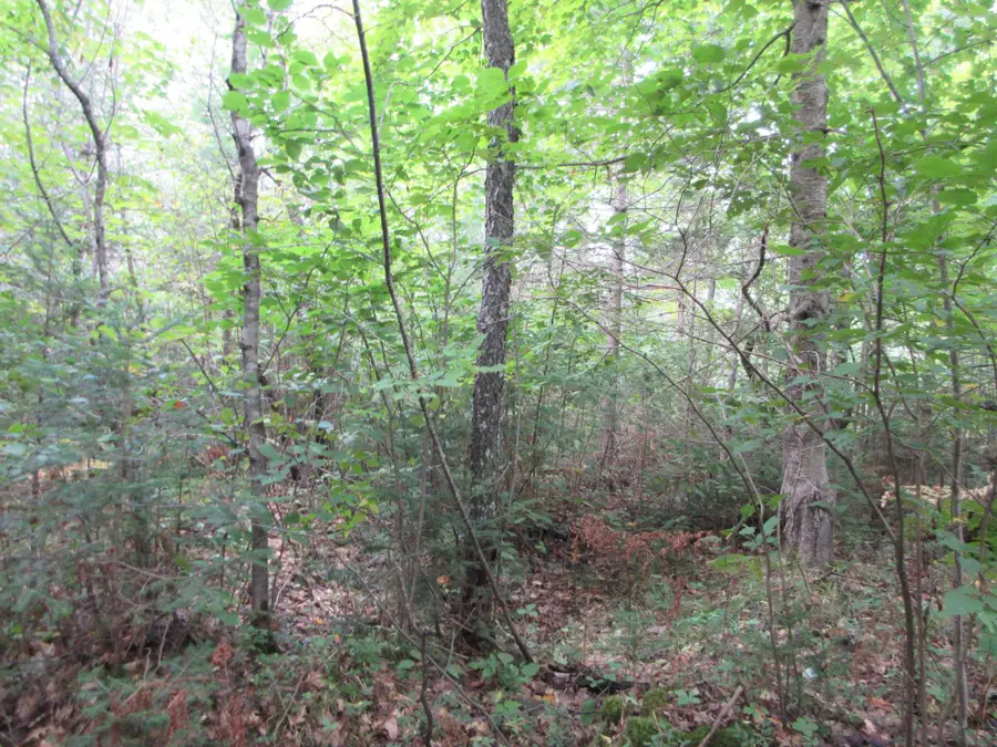 000 Cth M, Crandon, WI 54520 - #2