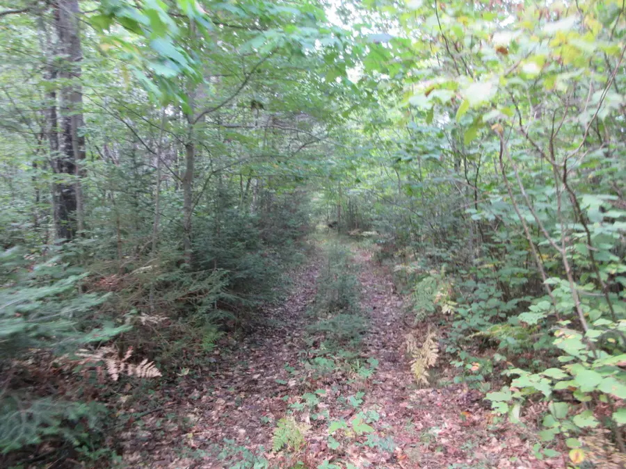 000 Cth M, Crandon, WI 54520 - #3