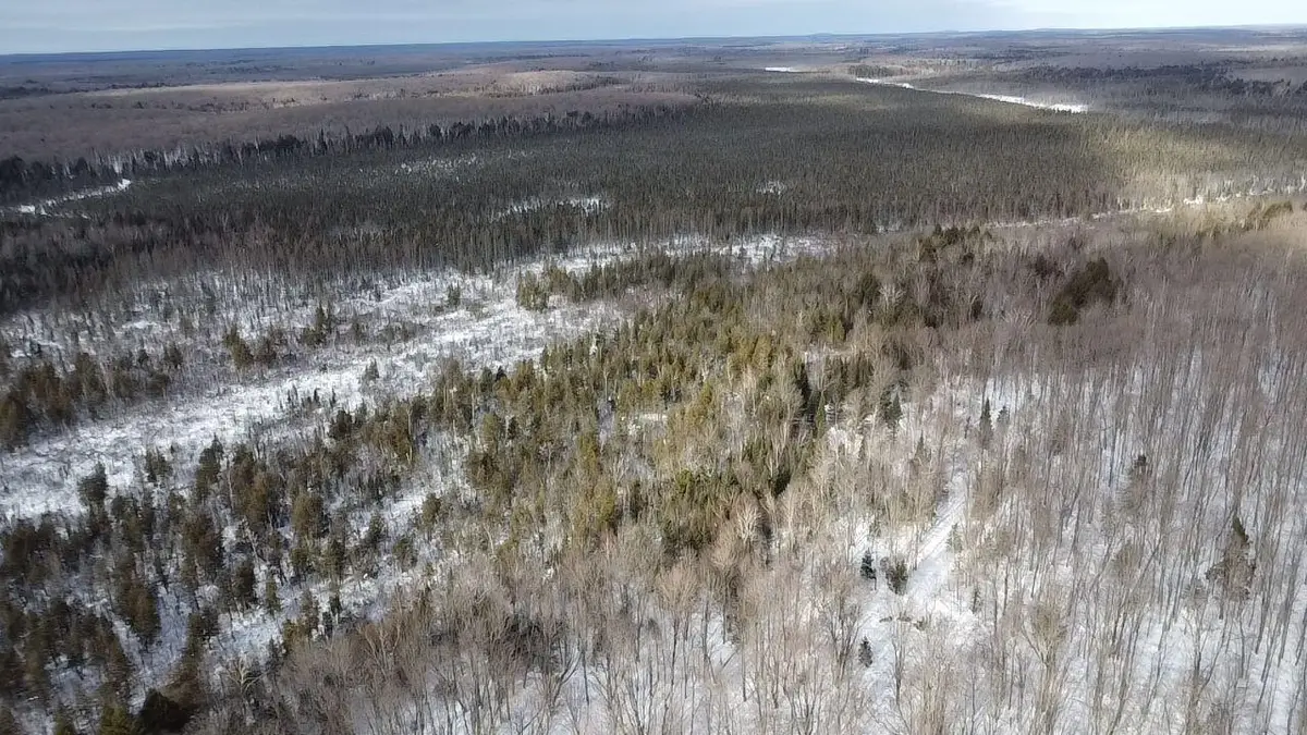 ON Double Bend Rd #120 Ac, Ross, WI 54520 - #1