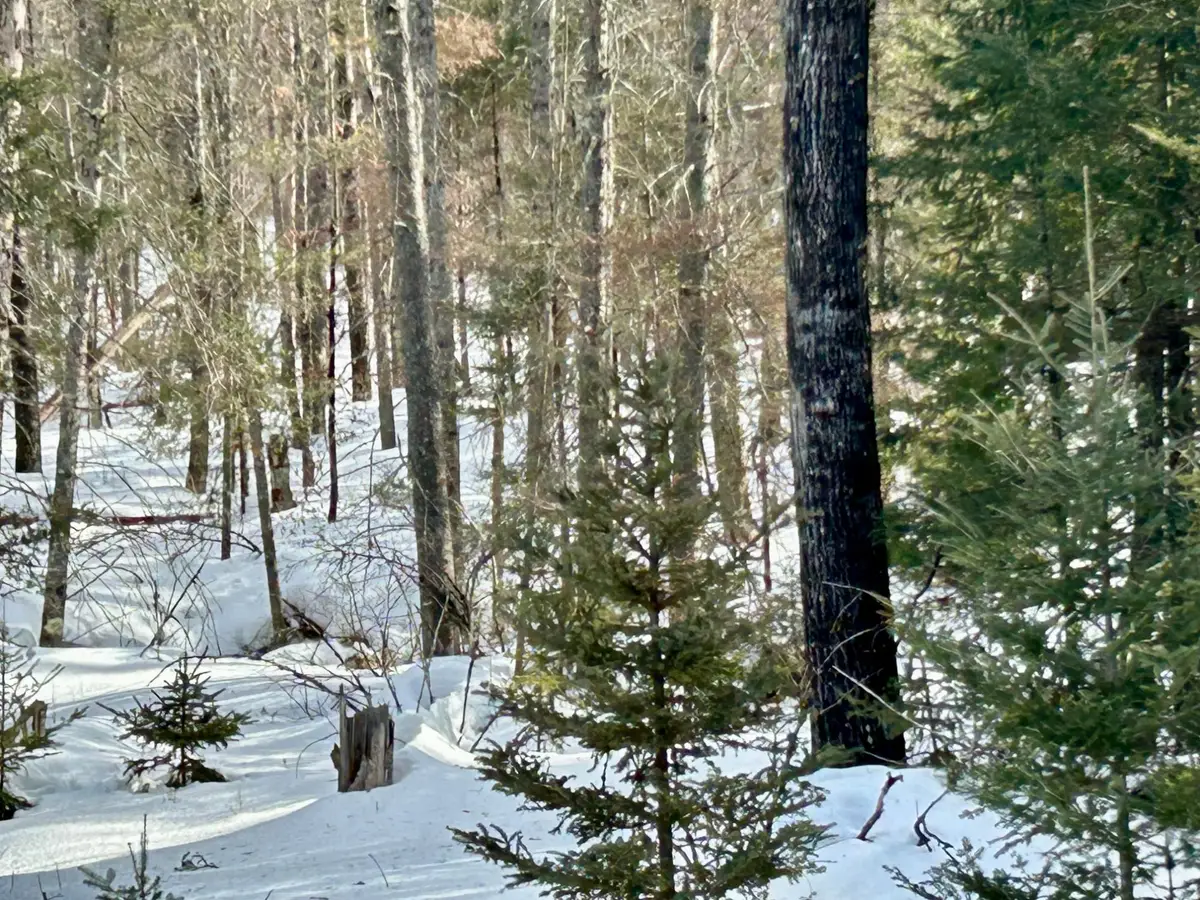 14780 Hwy 55, Crandon, WI 54520 - #1