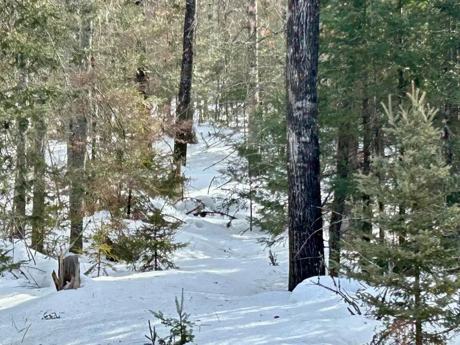 14780 Hwy 55, Crandon, WI 54520 - #2