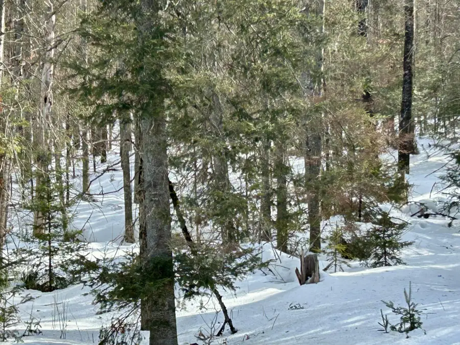 14780 Hwy 55, Crandon, WI 54520 - #3