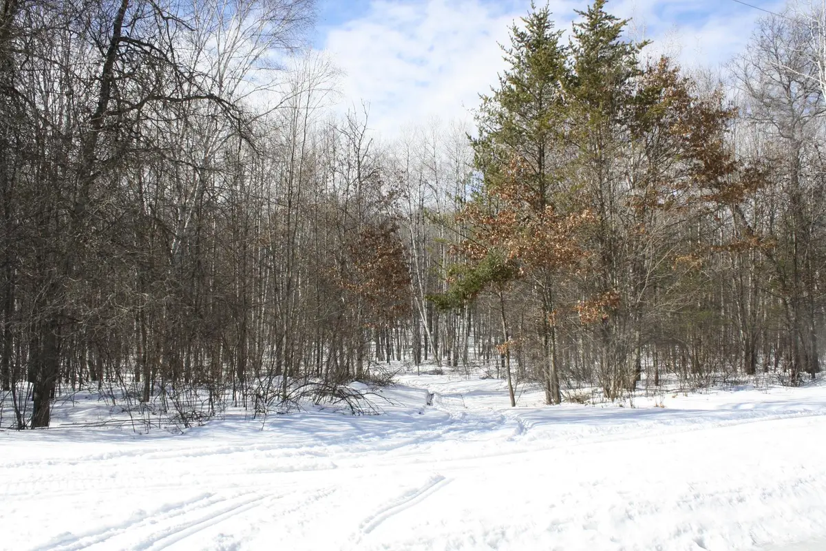 ON West Rapids Rd, Lake Tomahawk, WI 54539 - #1