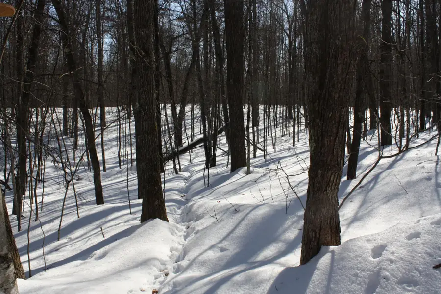 ON West Rapids Rd, Lake Tomahawk, WI 54539 - #2