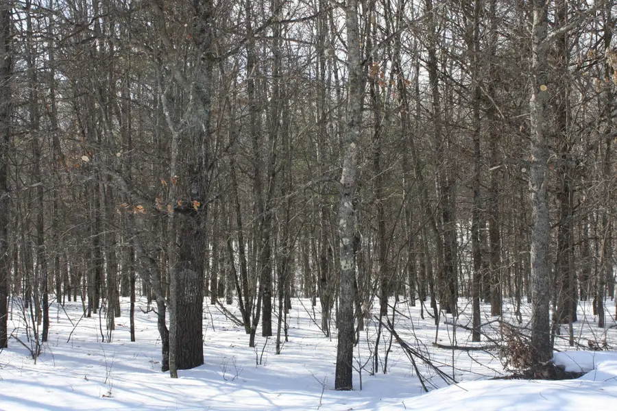 ON West Rapids Rd, Lake Tomahawk, WI 54539 - #3