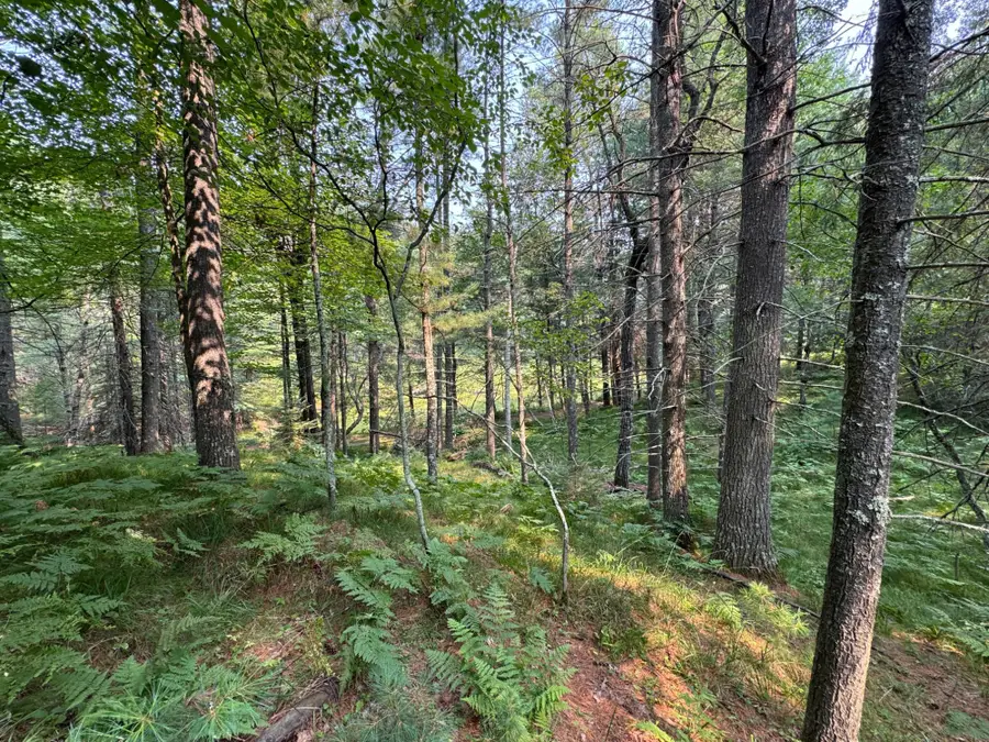 309/310 Deerwood Rd, Minocqua, WI 54548 - #3