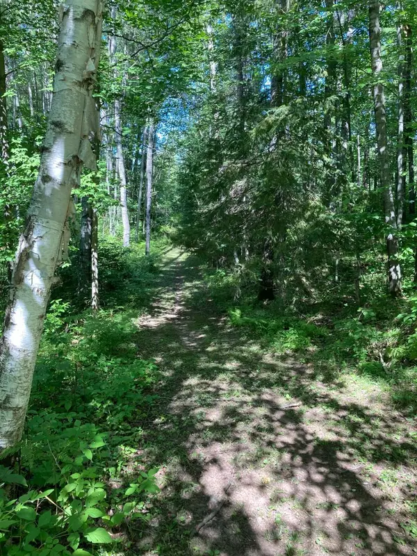 ON Ison Rd #Tract 8243, Crandon, WI 54520