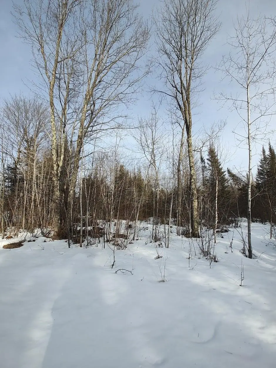 ON Hwy 8, Monico, WI 54501 - #1