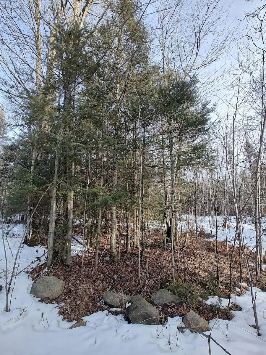 ON Hwy 8, Monico, WI 54501 - #2