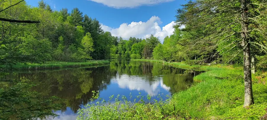 3 Acres Sugar Bush Rd, Park Falls, WI 54552 - #2