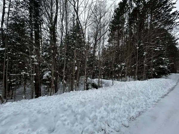 5 Ac On Timber Wolf Rd, Presque Isle, WI 54557