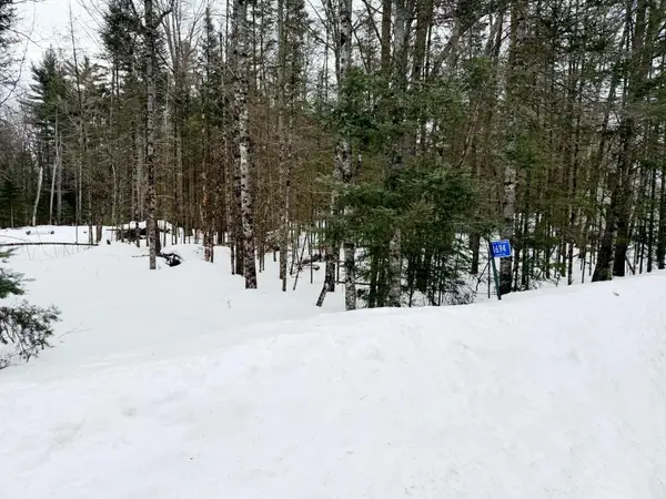 1694 Apache Tr, St Germain, WI 54558