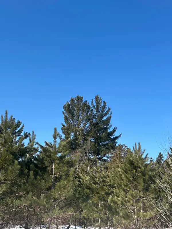 ON Burrows Lake Rd #Lot 3, Tomahawk, WI 54487