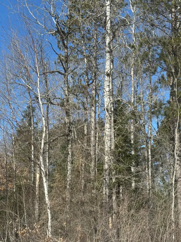 ON Burrows Lake Rd #Lot 4, Tomahawk, WI 54487