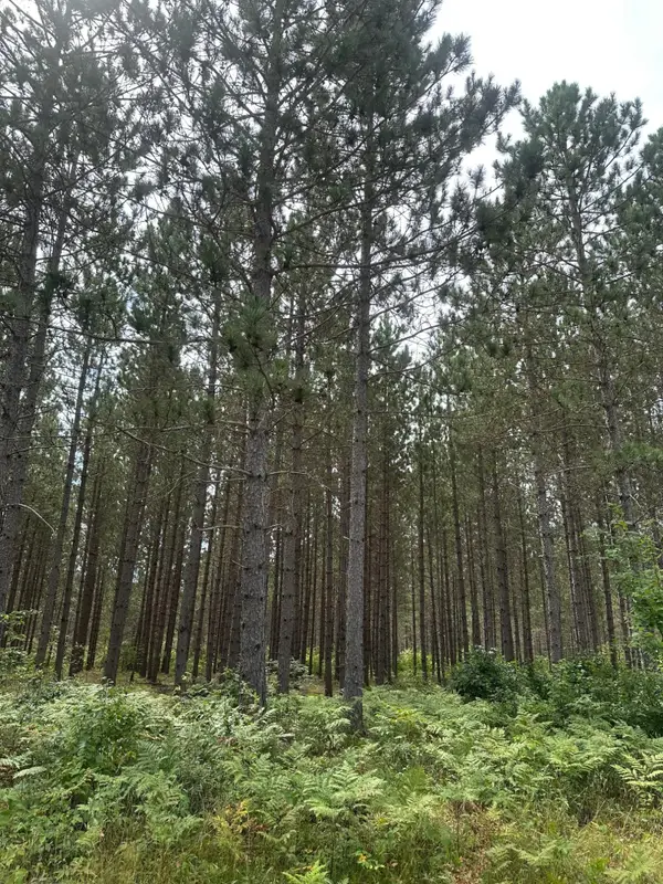 ON Lee Rd #Lot 2, Tomahawk, WI 54487