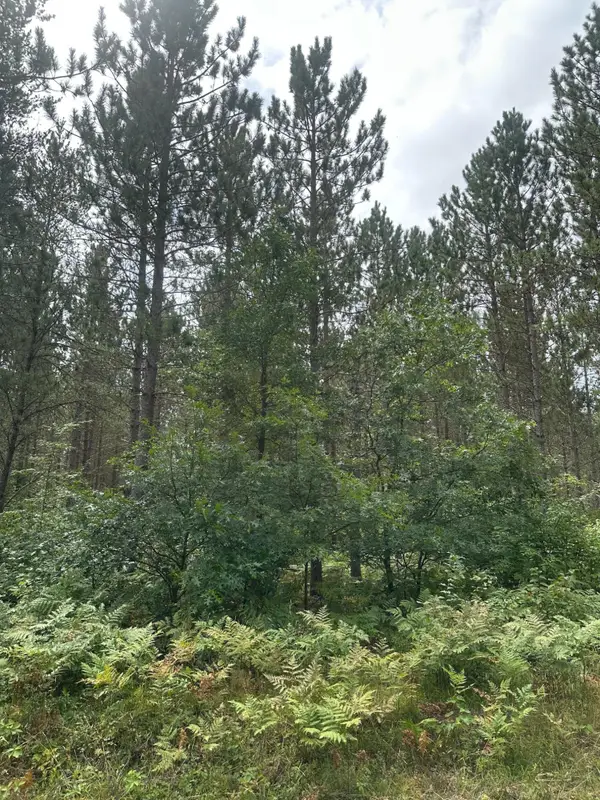 ON Lee Rd #Lot 3, Tomahawk, WI 54487