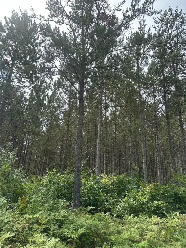 ON Lee Rd #Lot 4, Tomahawk, WI 54487