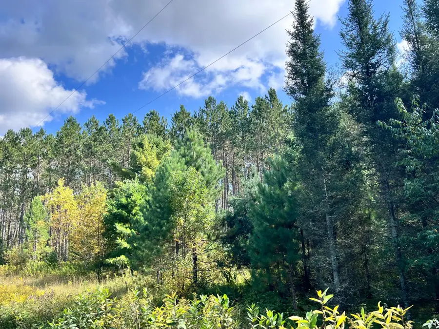 5 AC ON Black Bear Ln, Phelps, WI 54554 - #2
