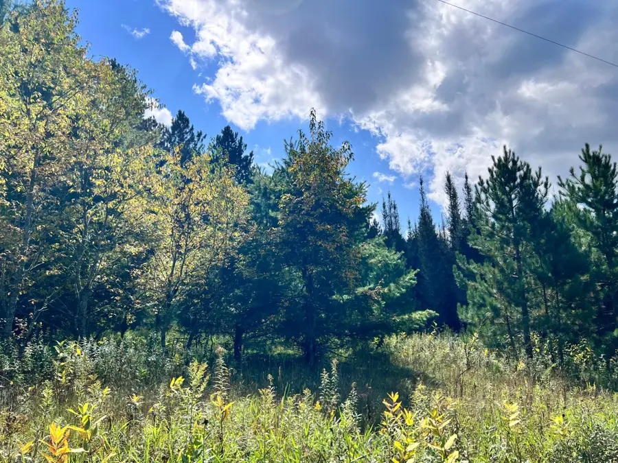 5 AC ON Black Bear Ln, Phelps, WI 54554 - #3