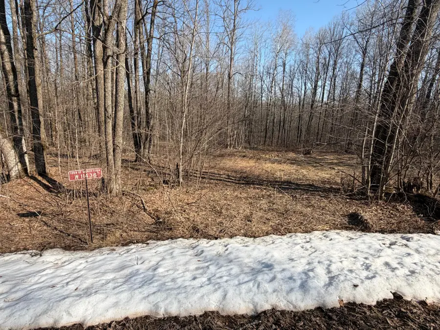 W11438 Liberty Ln, Kennan, WI 54537 - #2