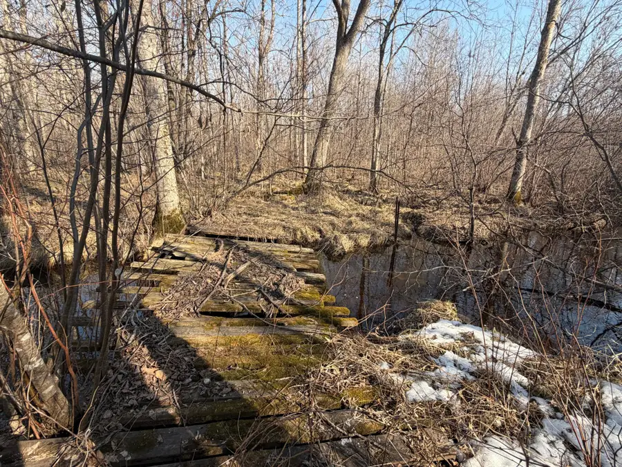 W11438 Liberty Ln, Kennan, WI 54537 - #3