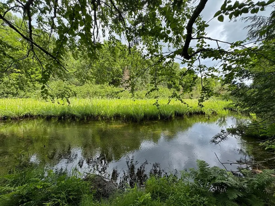 1n2 666 Mercer Lake Cr S, Mercer, WI 54547 - #2