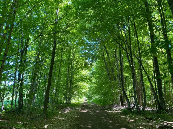 Off Niemi Ln, Ironwood, MI 49938