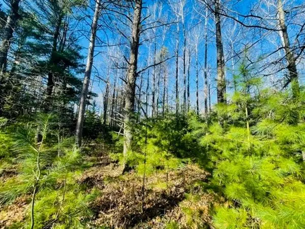 Lot #3 Yellow Birch Rd, Presque Isle, WI 54557