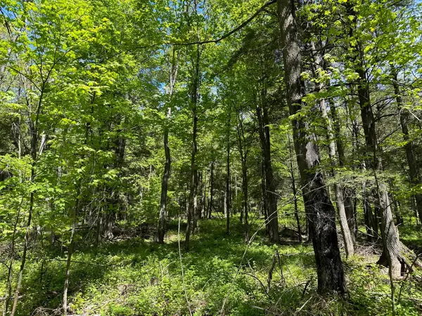 Lot 8 Kellar Dr, Maine, WI 54401