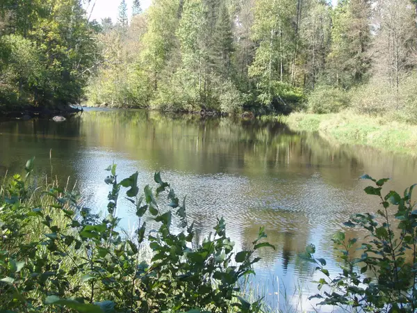 N15671 Evergreen Rd, Park Falls, WI 54552