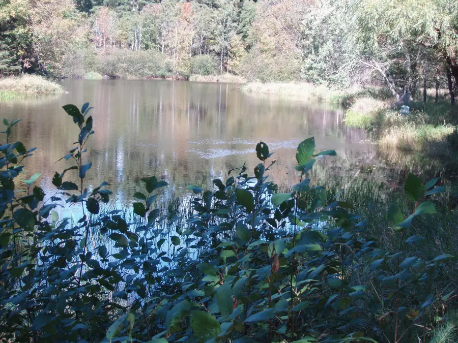 N15671 Evergreen Rd, Park Falls, WI 54552 - #3