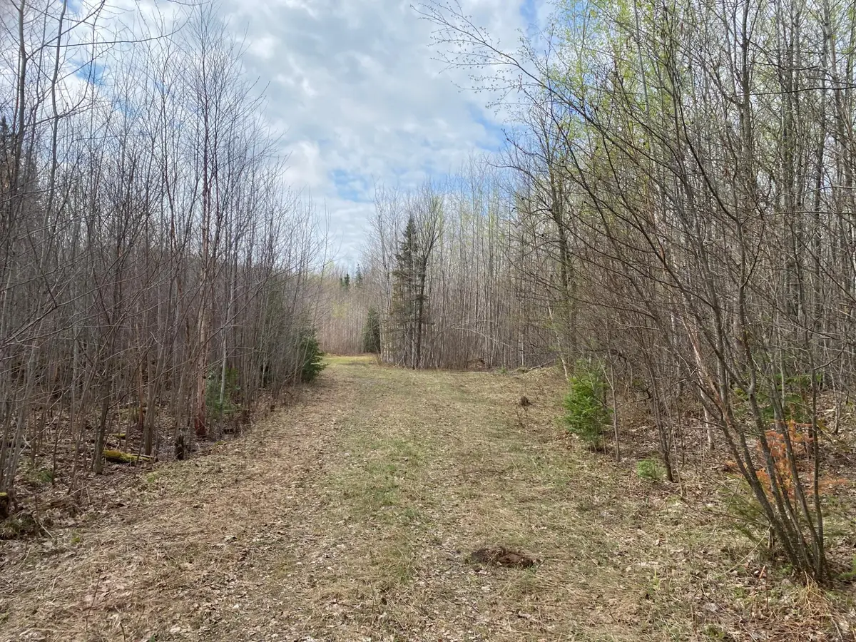 NEAR Wilson Lake Rd, Phillips, WI 54555 - #1