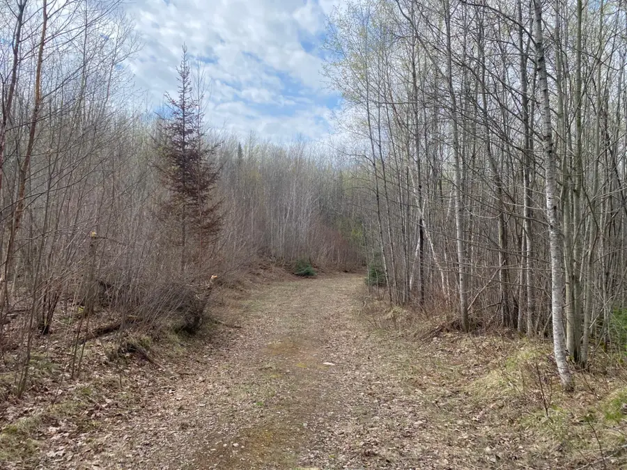 NEAR Wilson Lake Rd, Phillips, WI 54555 - #2
