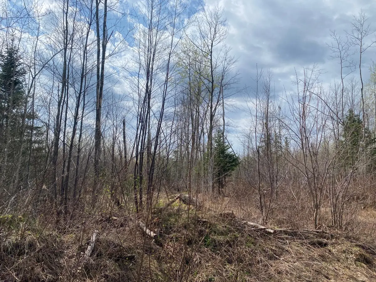 NEAR Wilson Lake Rd, Phillips, WI 54555 - #1