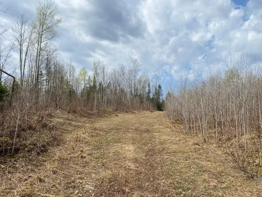 NEAR Wilson Lake Rd, Phillips, WI 54555 - #2