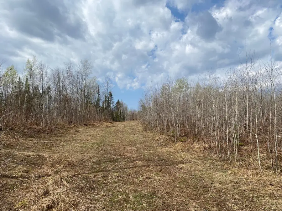 NEAR Wilson Lake Rd, Phillips, WI 54555 - #3
